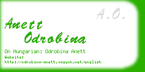 anett odrobina business card